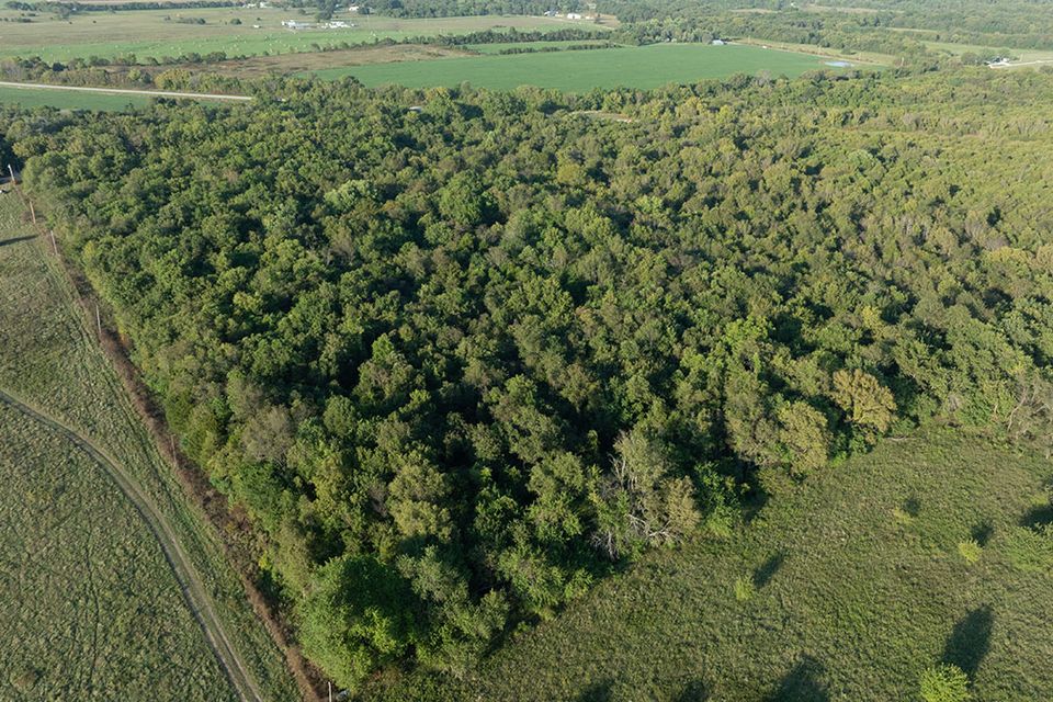 38 acres wentworth missouri 1