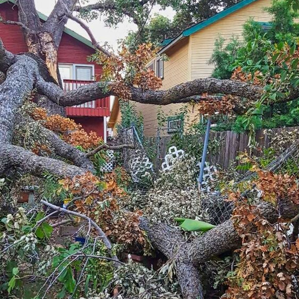 Emergency storm damage response for a large fallen tree impacting residential backyard fences – Bud’s Tri-County Tree Services Inc. – Licensed #785788