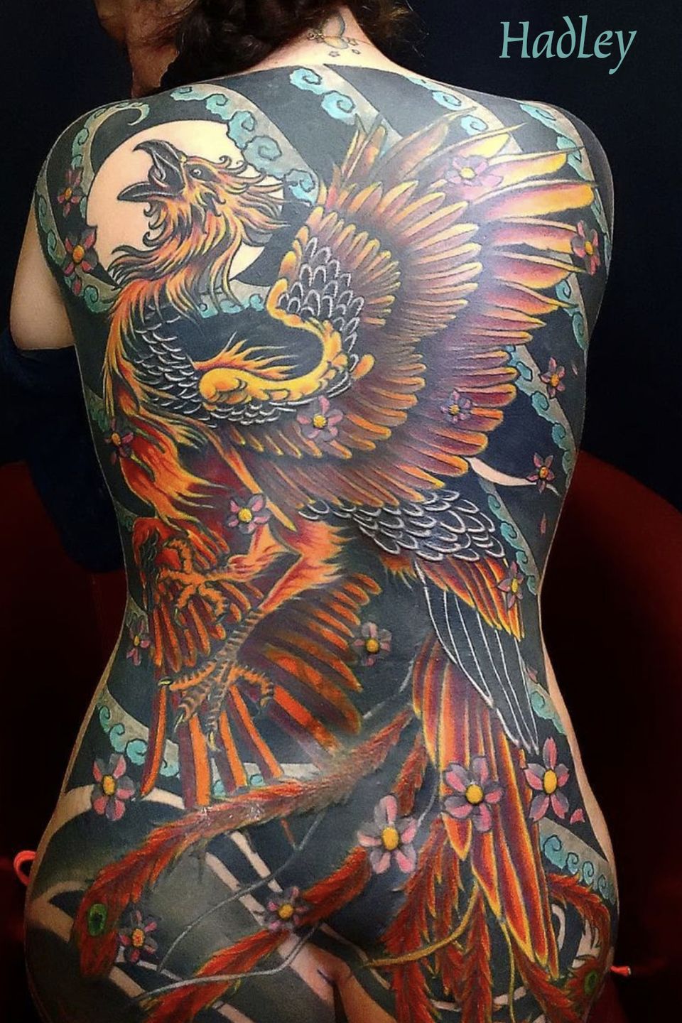 Hadley griffin full back