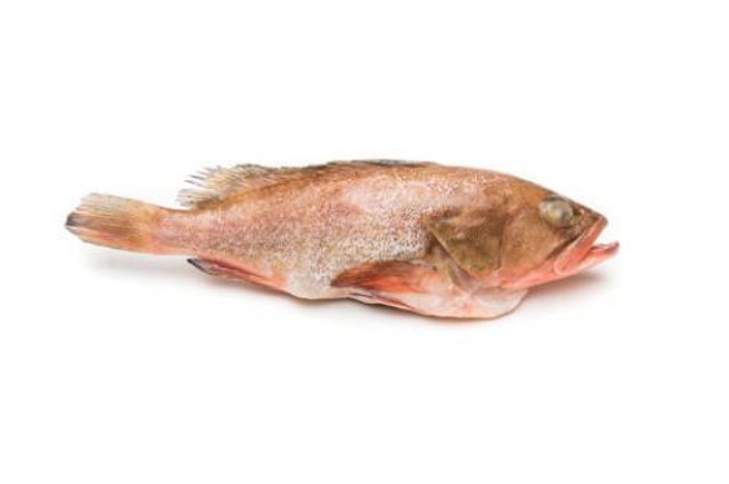 Grouper whole 3 1