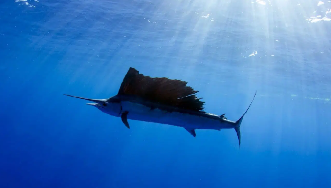 Screenshot 2026 02 24 at 10.22.45 am