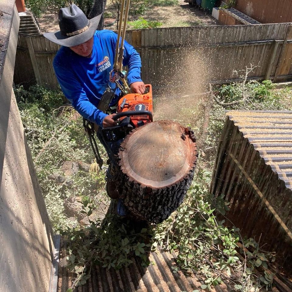 622598471 122099317371240100 6913877122619555320 n