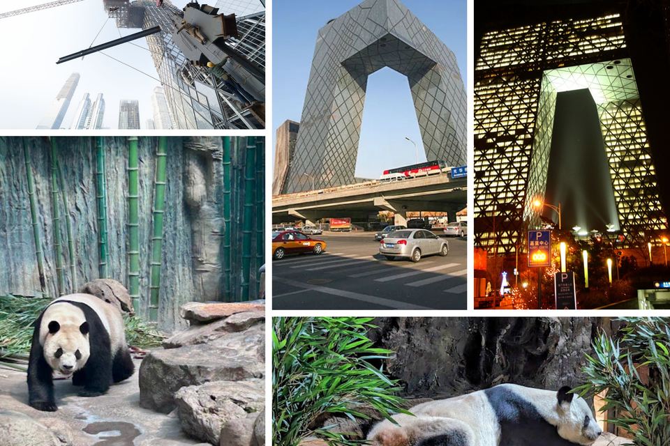 Beijing zoo panda park   cctv tower