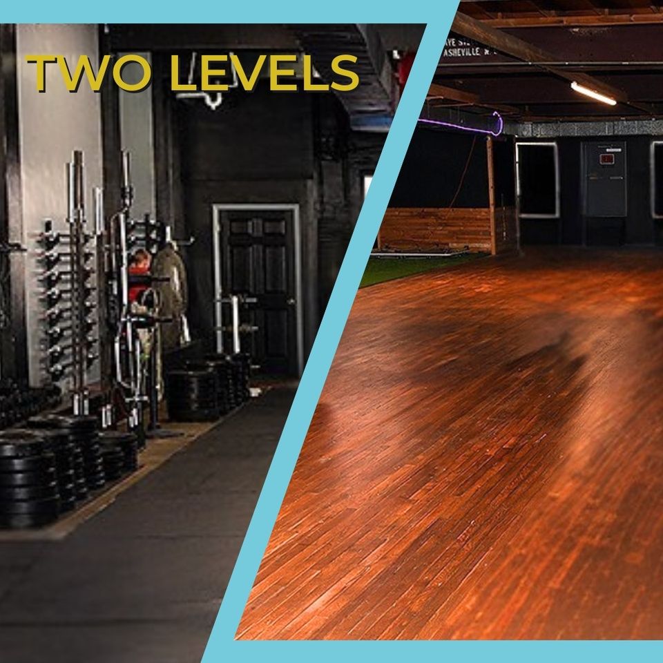 Next level training website (4)