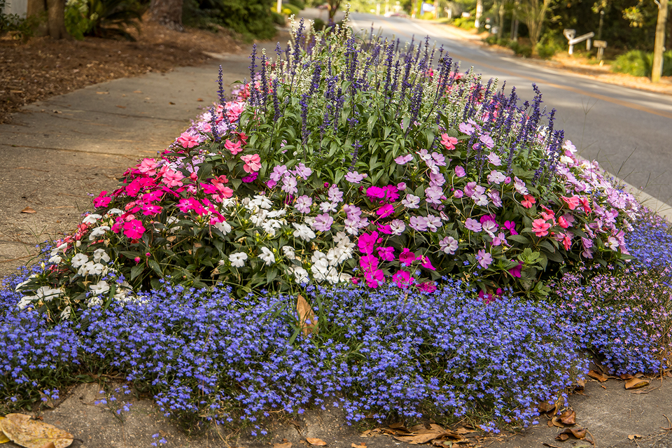 Fairhope flowers sm