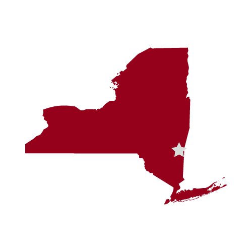 New york cities salt point
