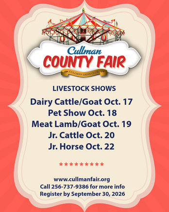 Fair livestock shows