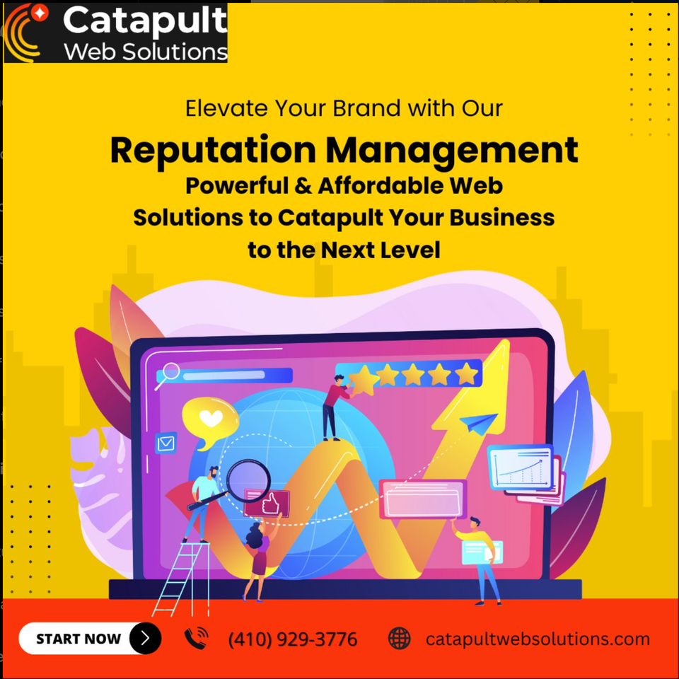 Catapult web solutions incorrect logo usage example 1
