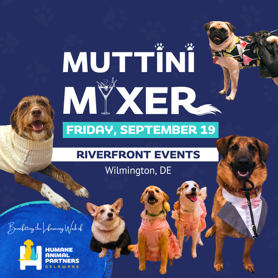 2025muttinibsavethedatesquare