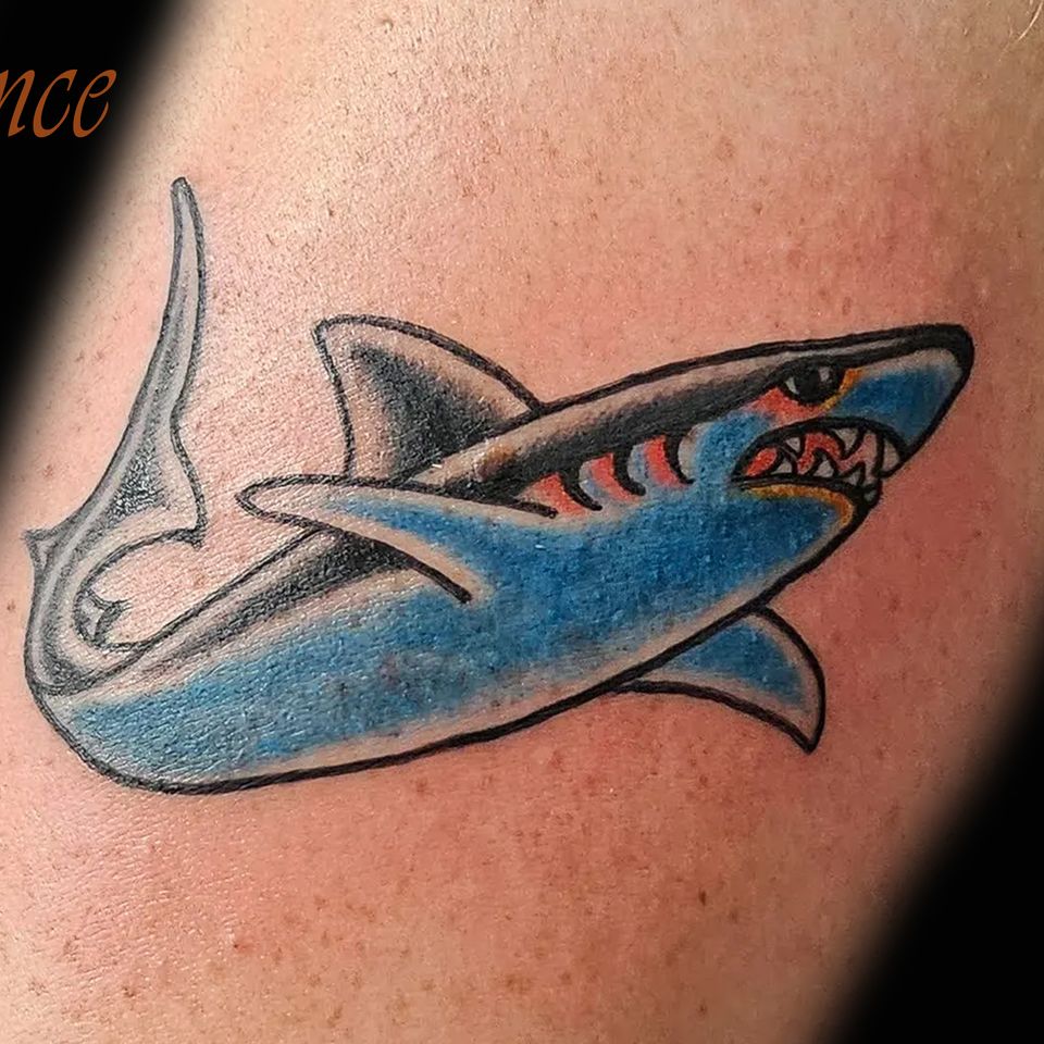 Spence shark copy