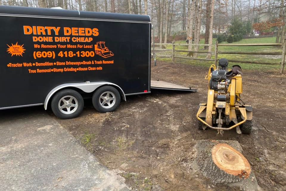 Dirtydeedsstumpremoval