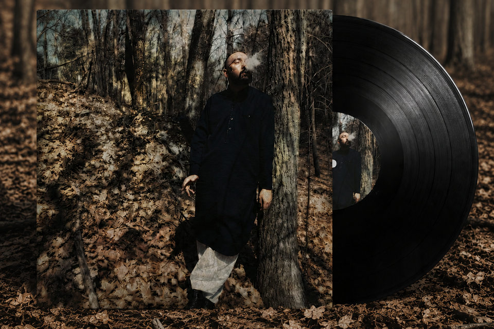New hampshire daze vinyl background3