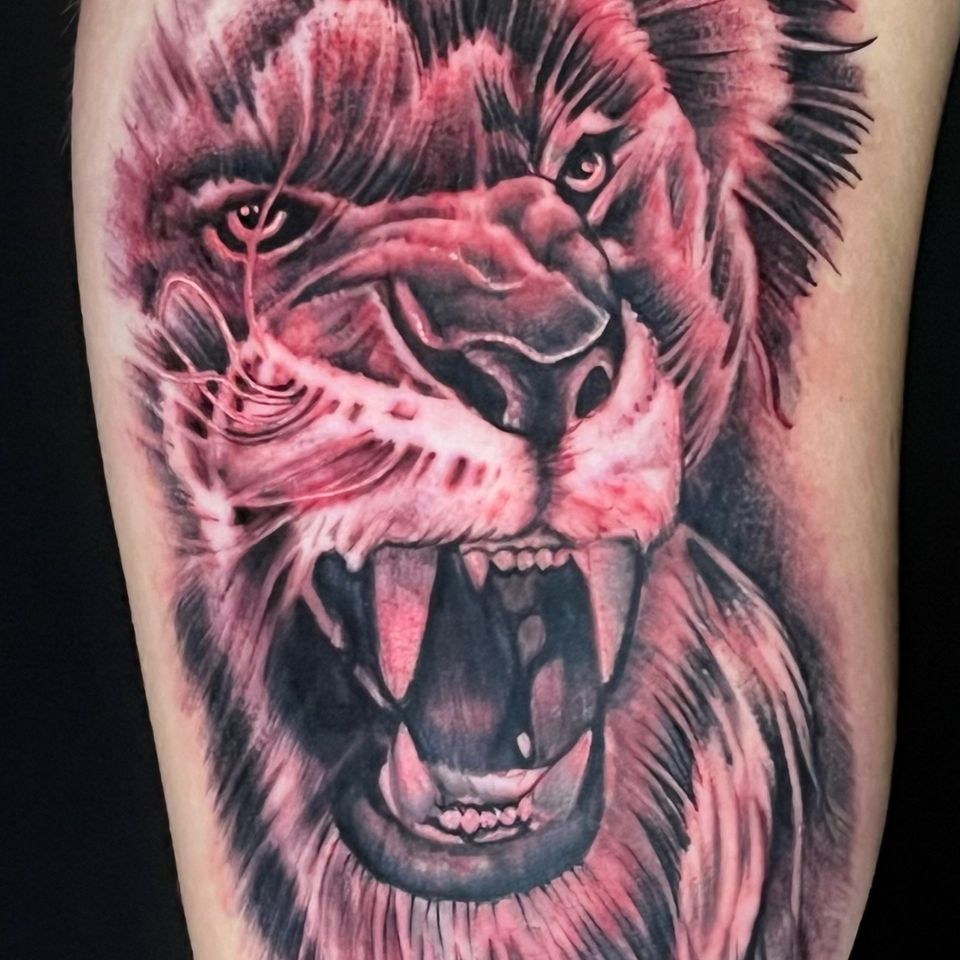 Josh lions roar