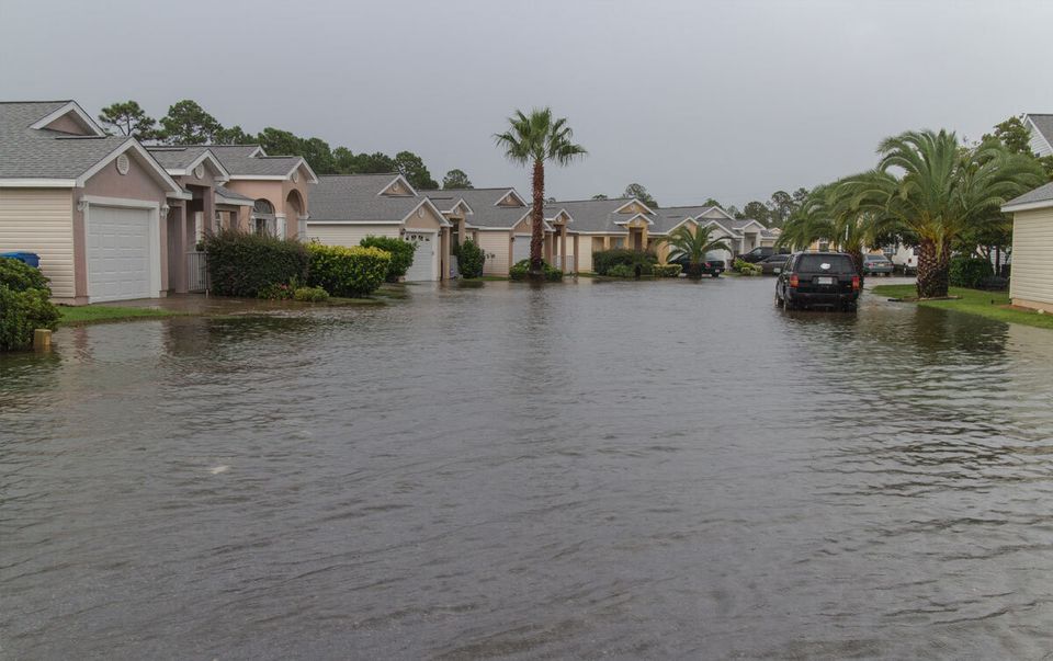 Water damage tarpon springs