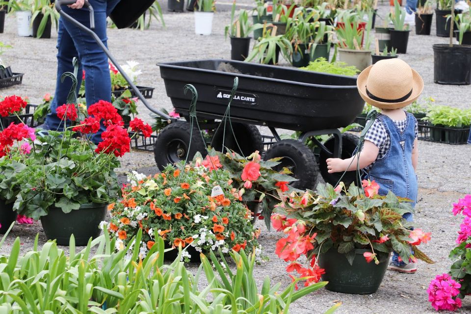 Plant donations