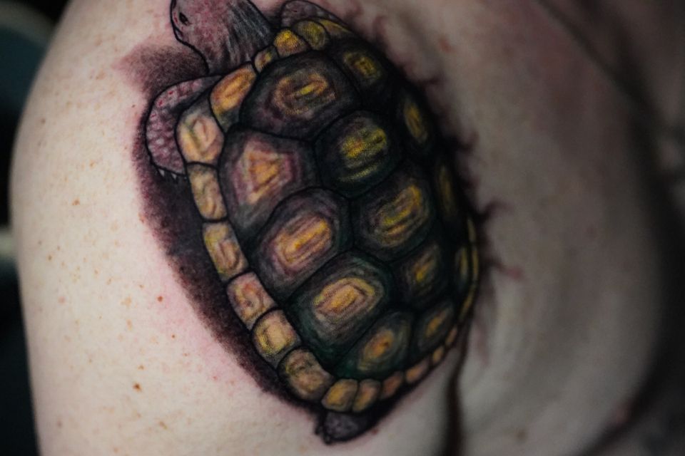 Image of a very colorful turtle on the right shoulder of a man
