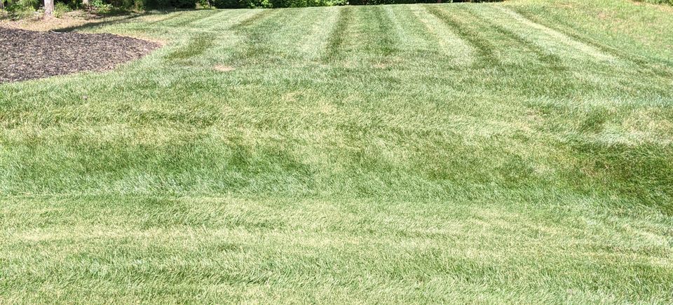 Pxl 20210630 194013208