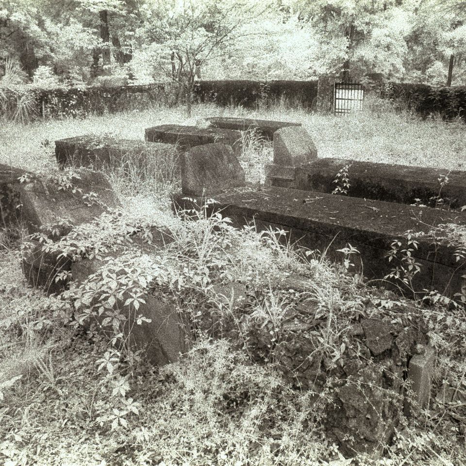 Haile family plot1