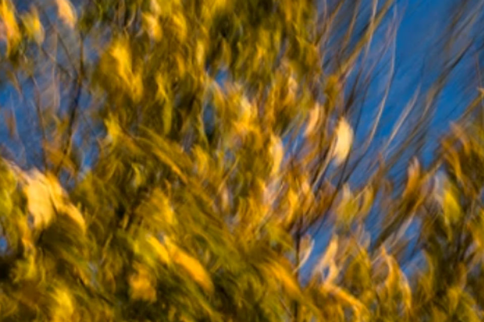 Moving still
