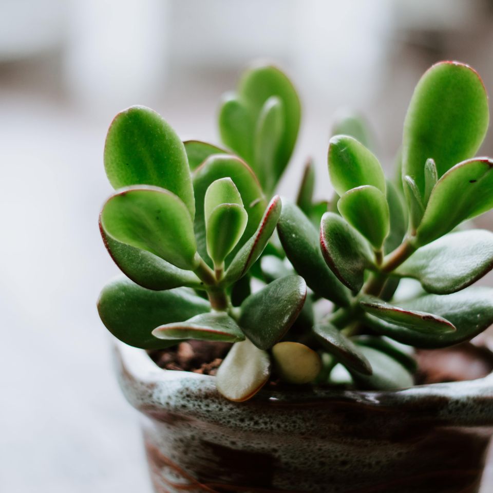 Okeykat 7tojgsu qcm unsplash