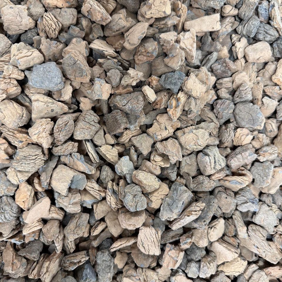 Beechwood pebbles