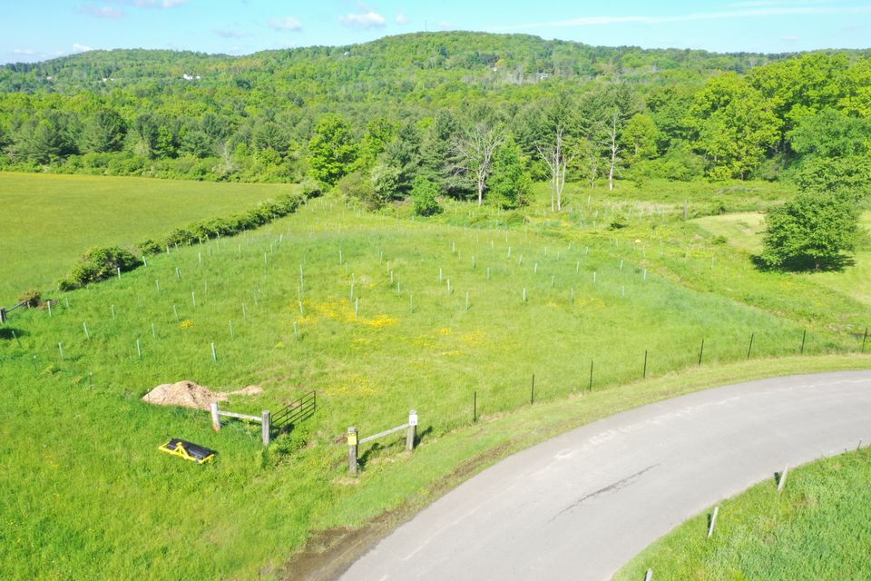 2025 arial drone looking west 2023 planting by creek