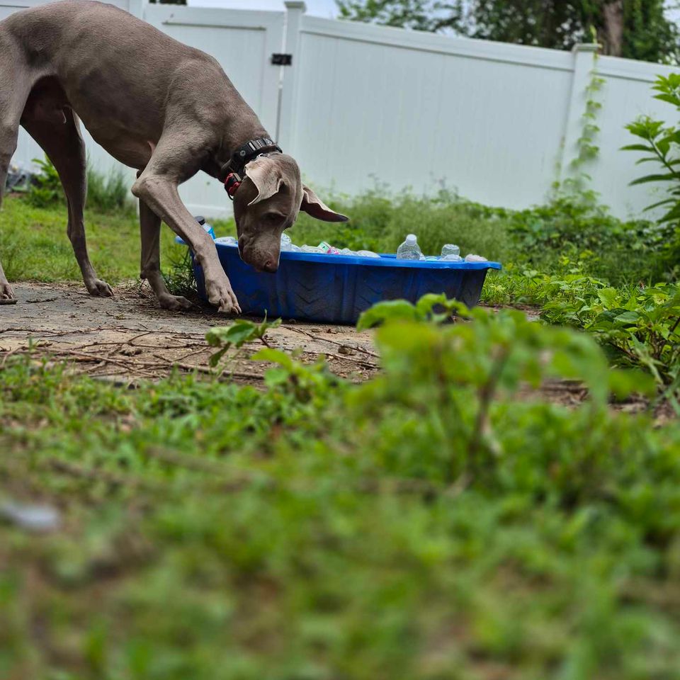 Received 624782849911714