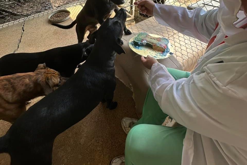 Img 0231