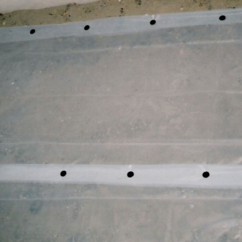 Spike inground clearplastic20120214 12918 1wjfjd 0