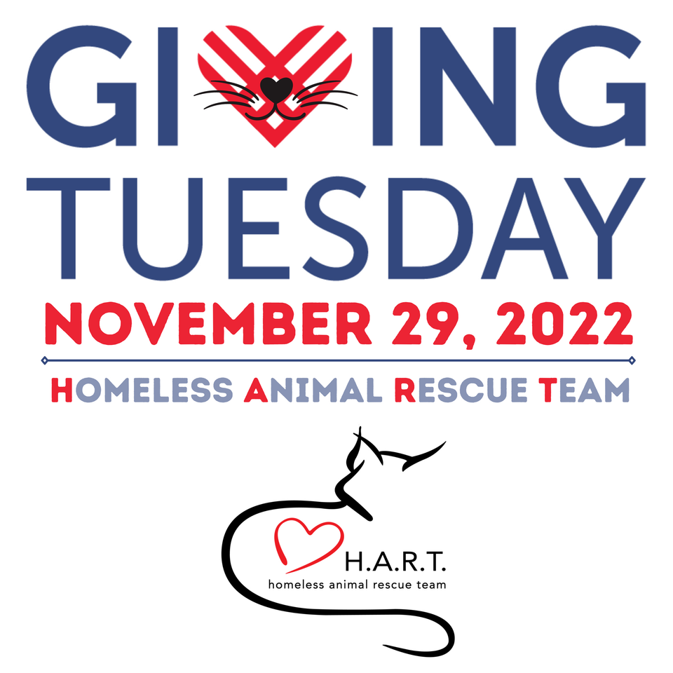 Giving tuesday hart