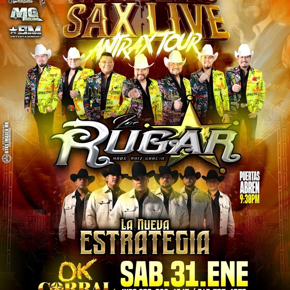 Sab 31 enero toro