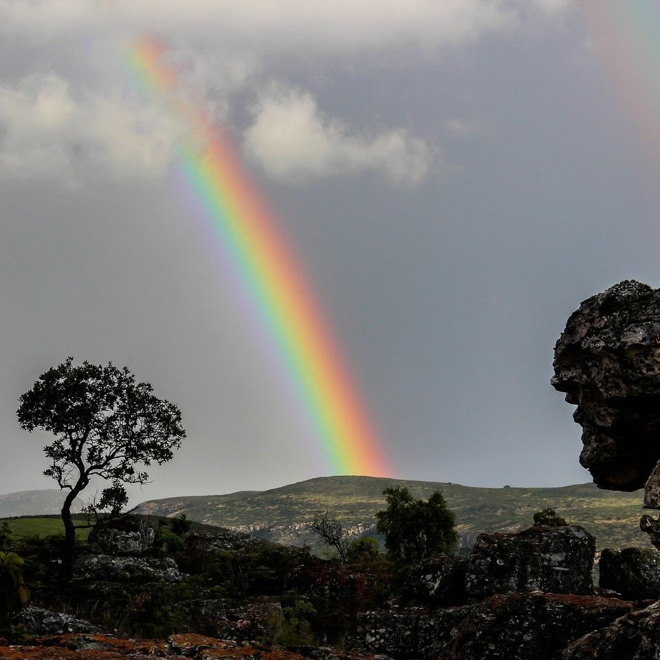 Rainbow 53e0dc464a 1920