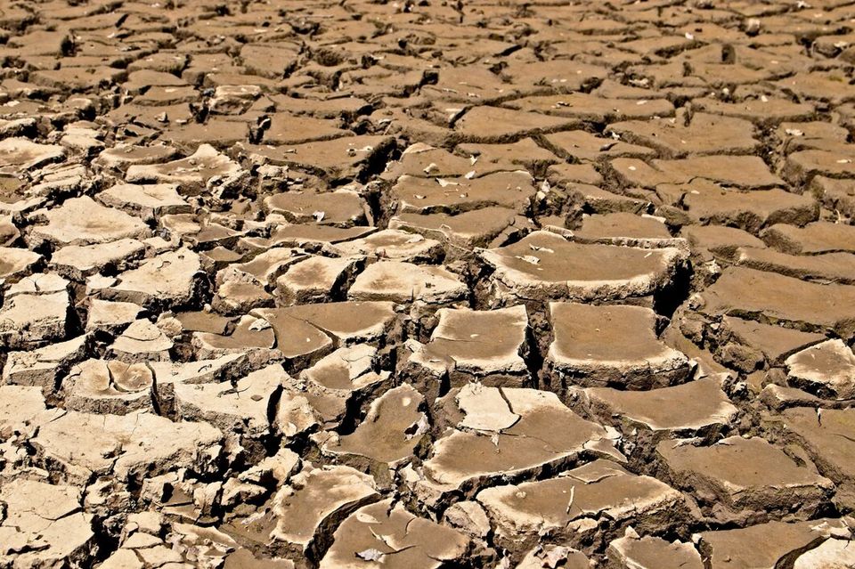 Background dried cracked muddy ground 181624 10428