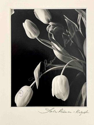 Tulips half vase 1 slash 2 platinum print