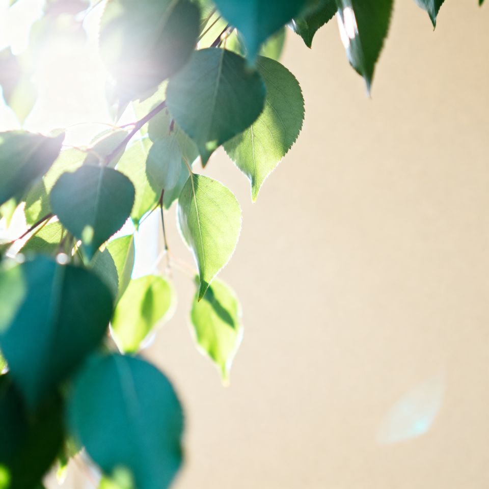 D3b928ead3574493954d8391594e6dbf