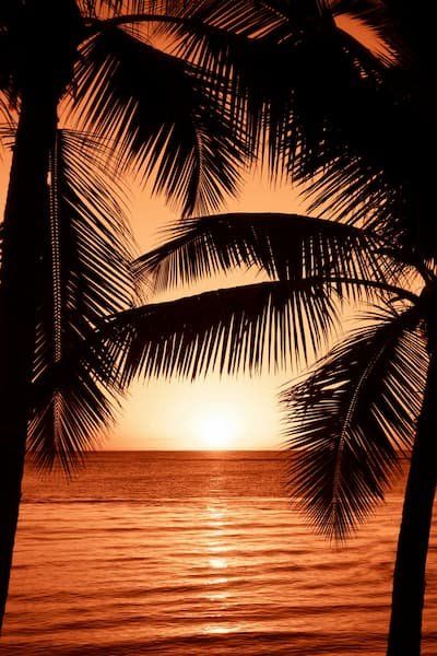 Tropical sunset over the water 