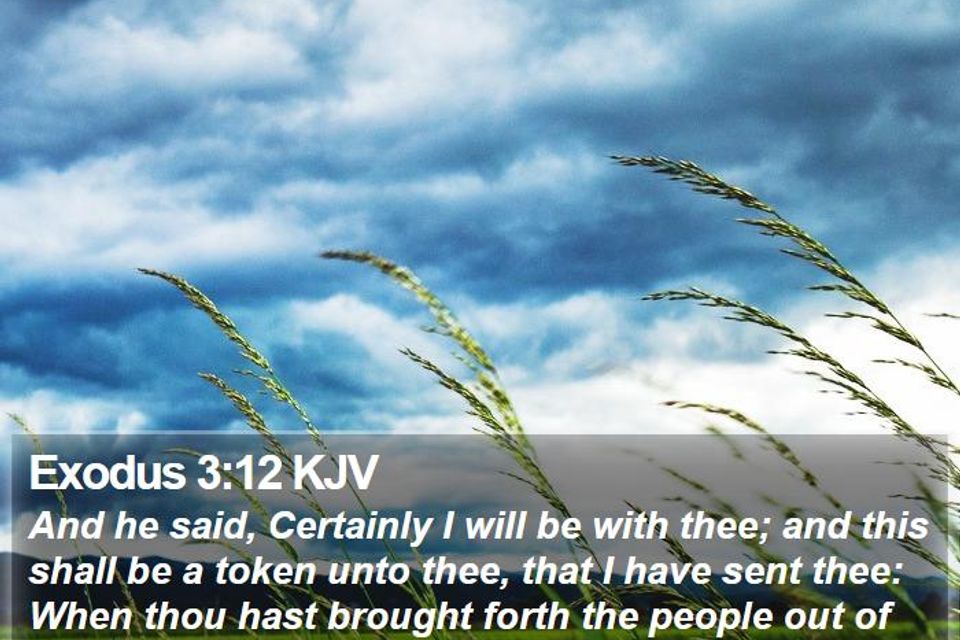 Exodus 3 12 kjv and he said certainly i will be with thee and i02003012 l01