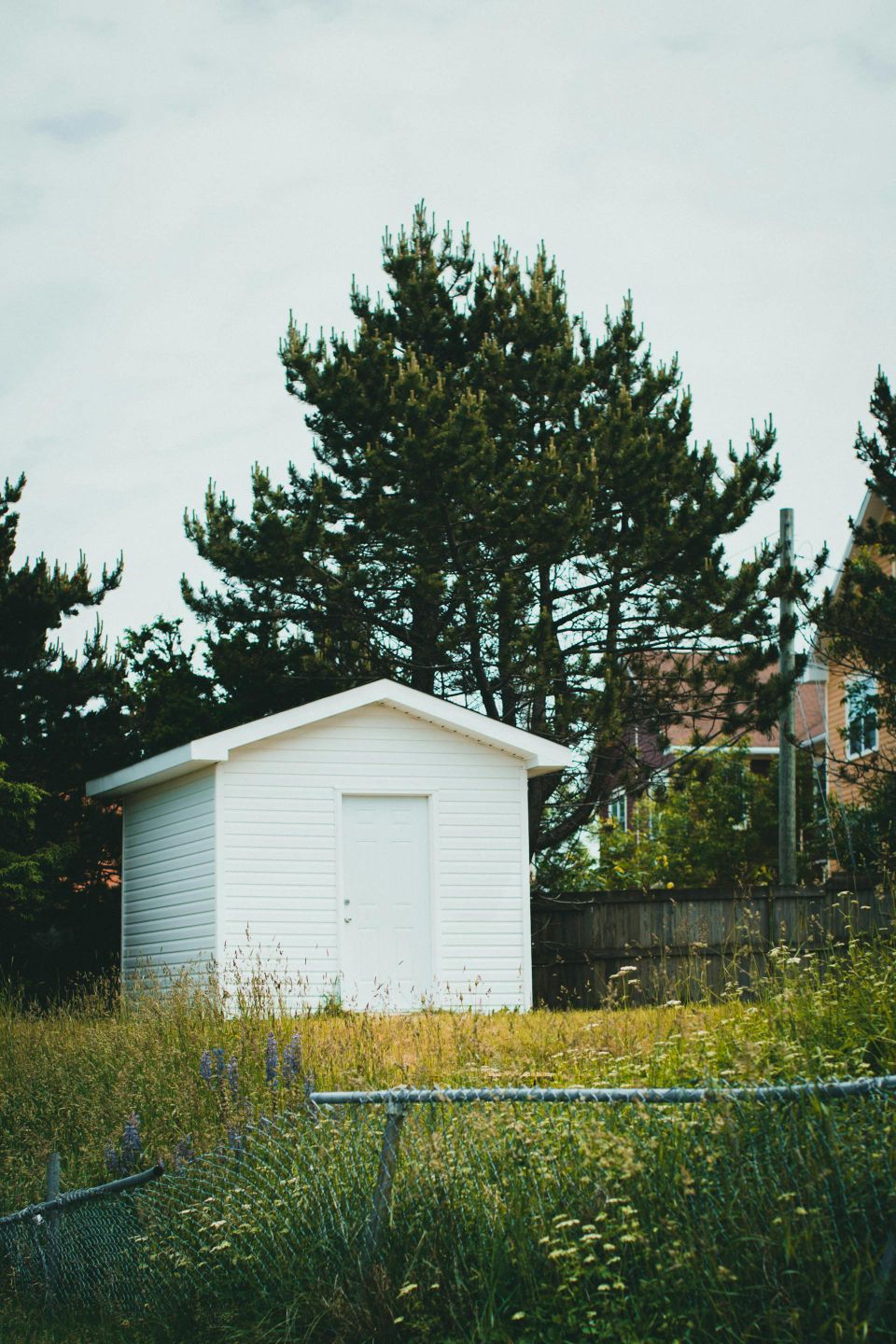 Pexels theshuttervision 8811447