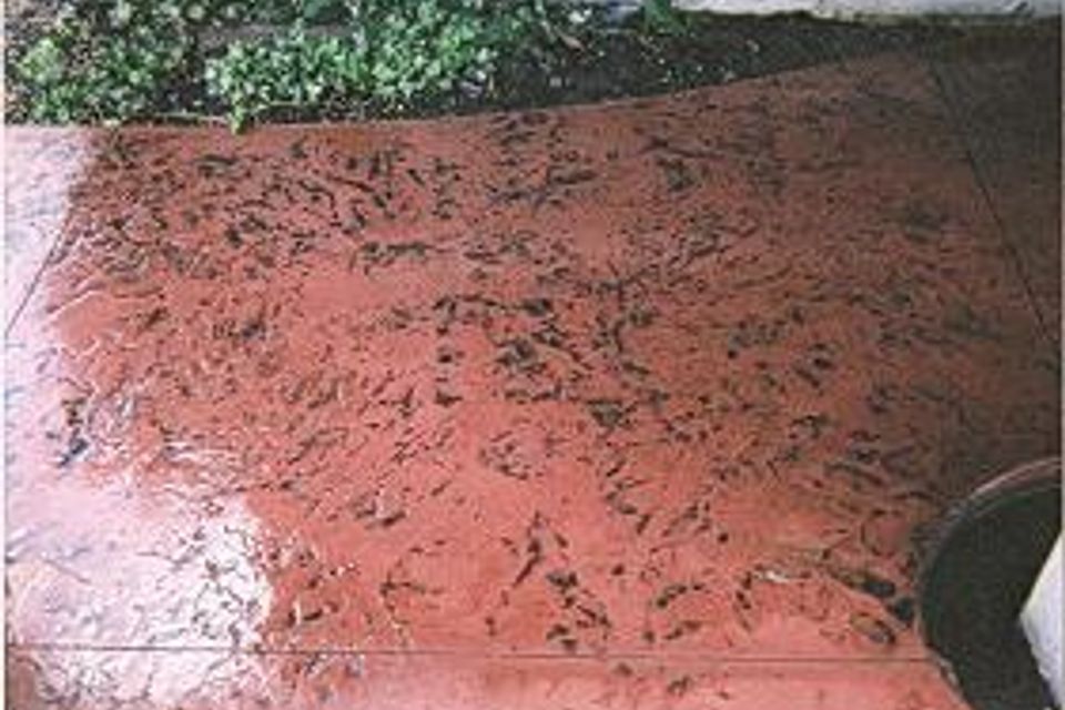 Fin720160927 22835 1mq25c