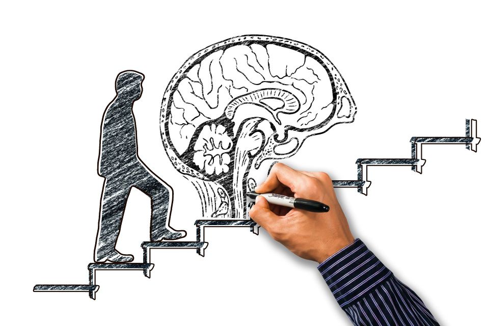Brain gf2cc40565 1920