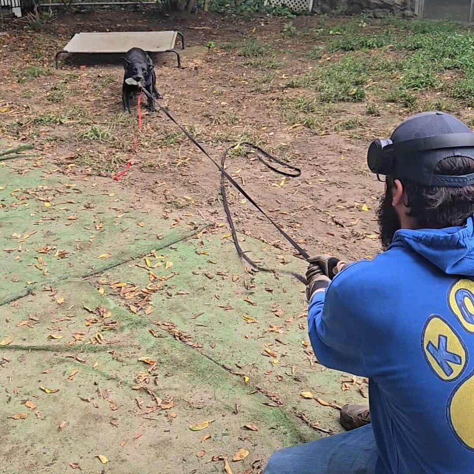 Messenger creation 790394283407532