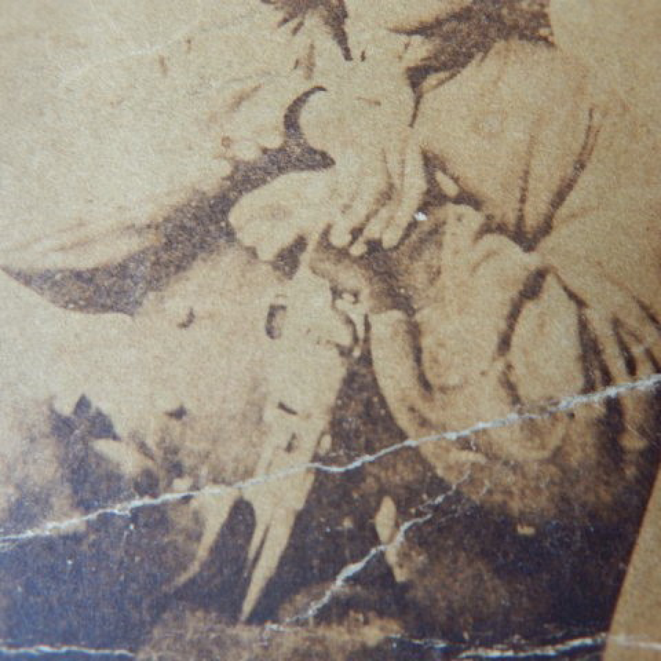Original cdv  confederate jerome clarke sue mundy files1620170912 30295 1x0jbjk