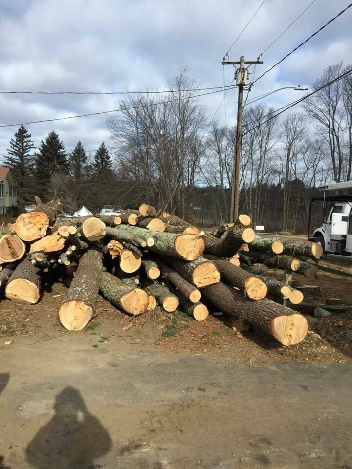 50498009 2081399795274148 748914911987367936 n