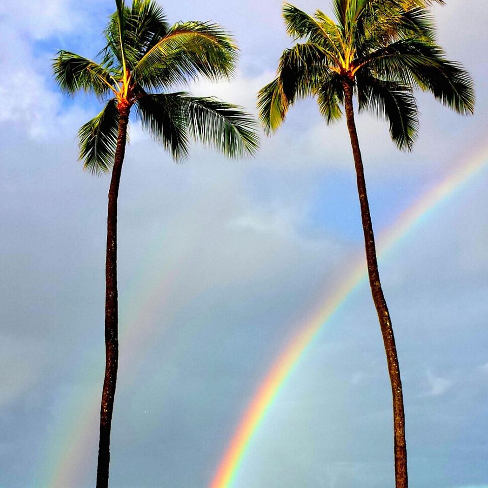 Rainbow gc135e7f75 1920