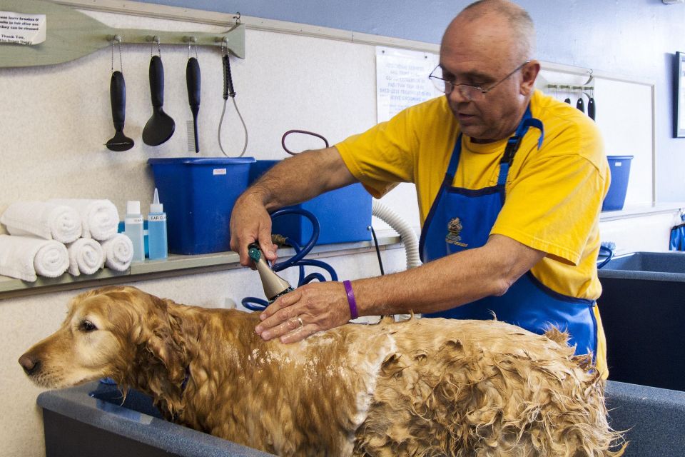 Karlinimrie0 dog bath gf2185b5a3 1920