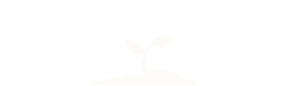North   bloom   website (10)