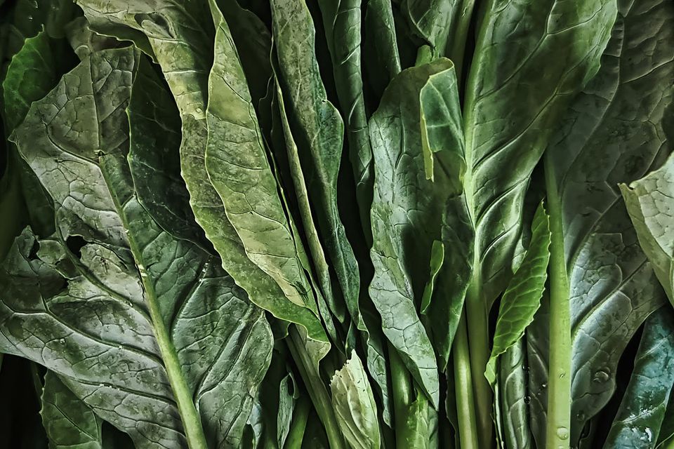Project full plate collard greens
