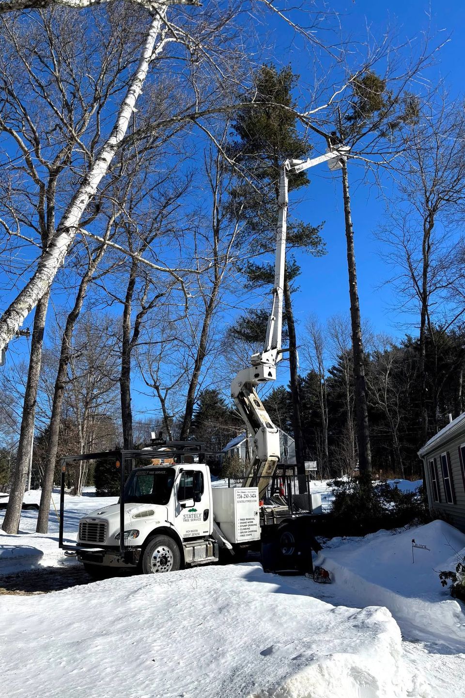 Tree service1