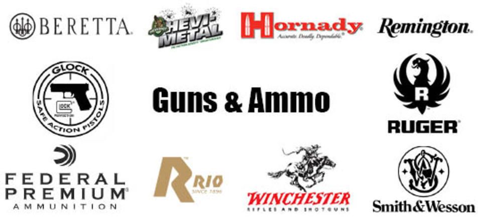 Guns ammo20150312 28275 2uvxkp
