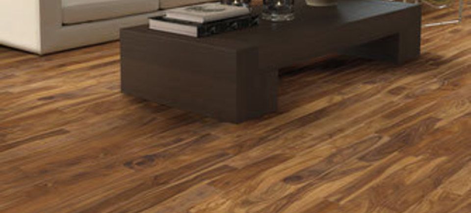 Hardwood scene20180316 5203 13xcesp